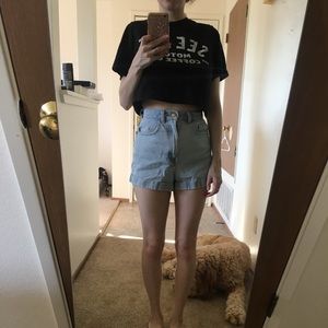 American Apparel Denim high waisted shorts